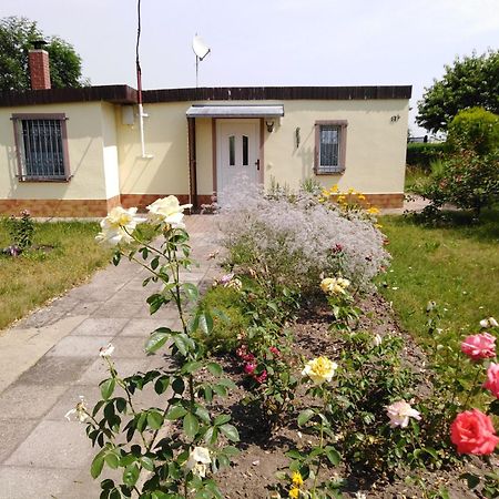 Ferienhaus Kaiserfelder Olbersdorf Luaran gambar